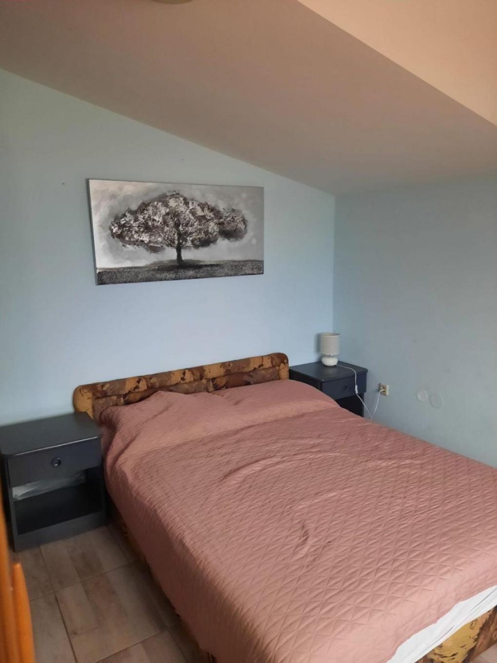 Apartments Visnja Nin Zewnętrze zdjęcie